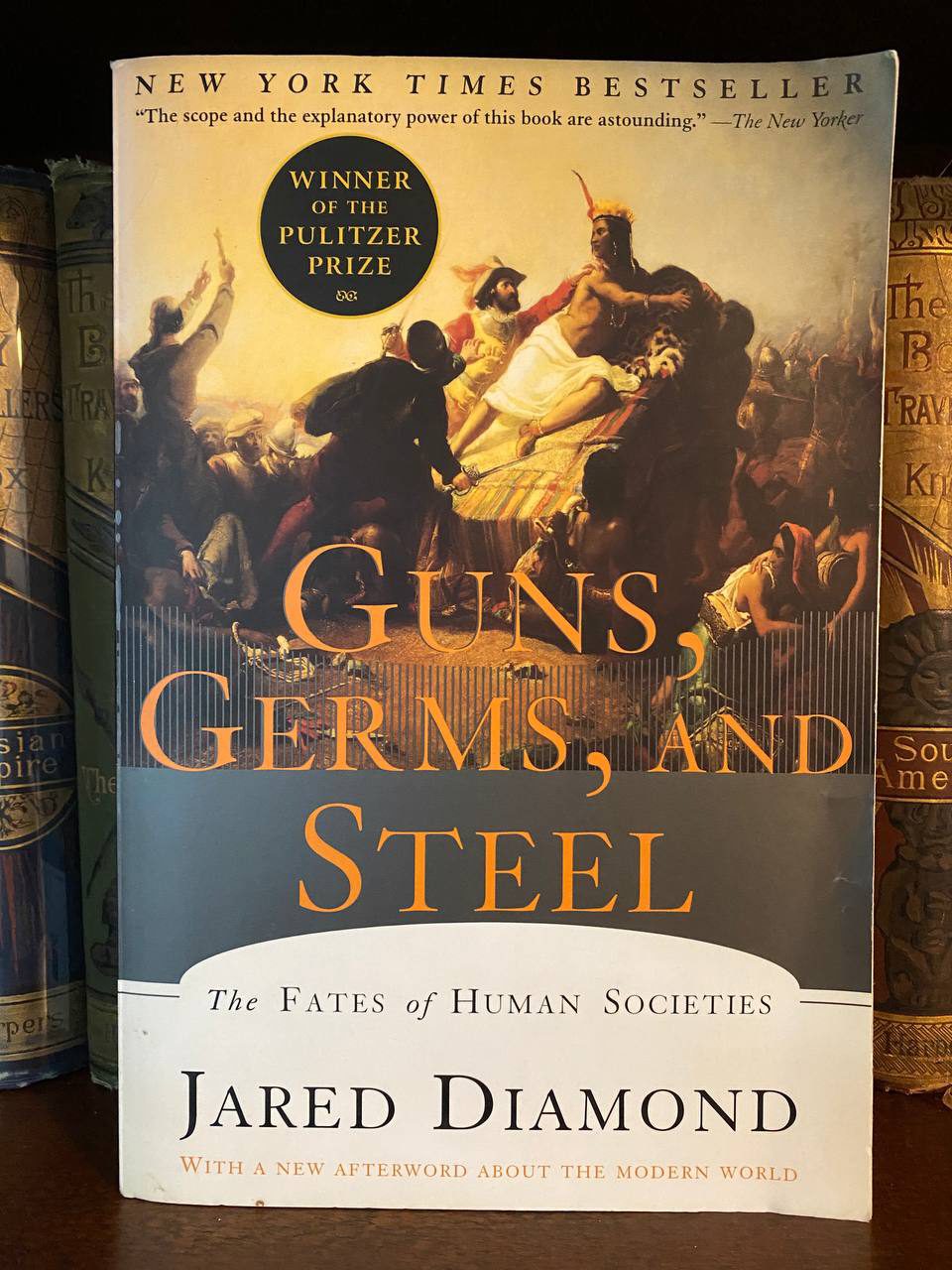 Cover of Drew's copy of Guns, Germs, and Steel