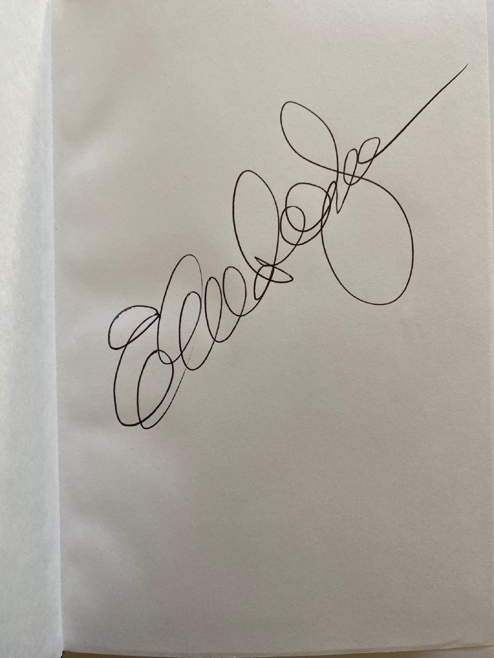 Physical detail of Drew's copy of Libido Dominandi