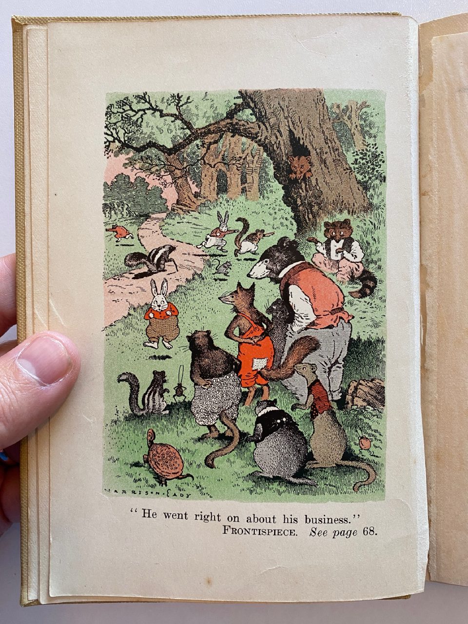 Interior or edition detail of Drew's copy of Mother West Wind “Why” Stories