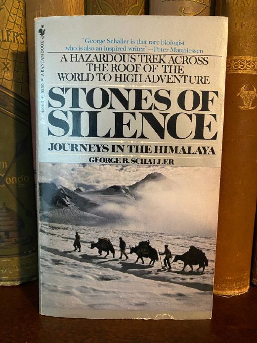 Cover of Drew's copy of Stones of Silence
