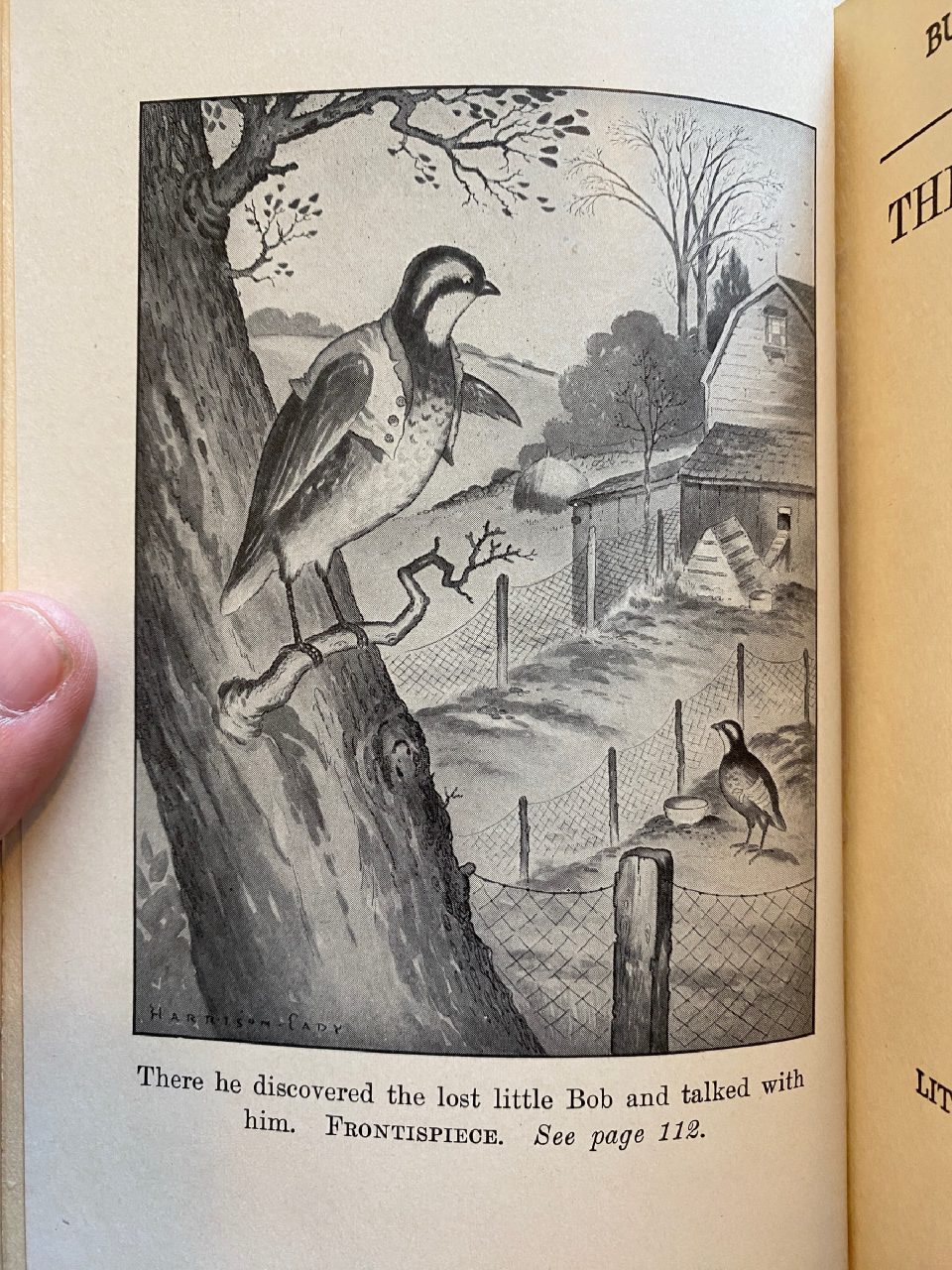 Interior or edition detail of Drew's copy of The Adventures of Bob White