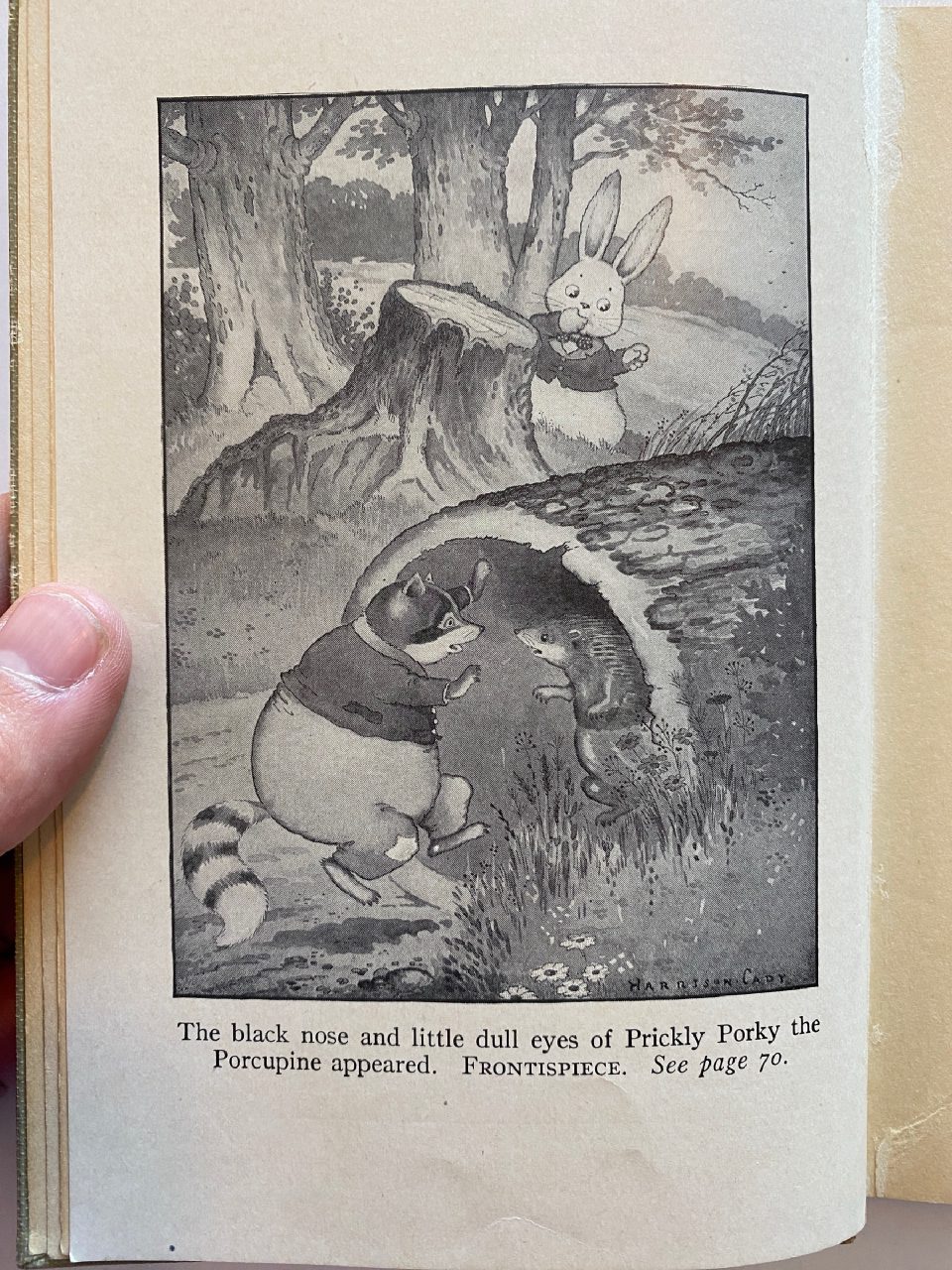 Interior or edition detail of Drew's copy of The Adventures of Bobby Coon