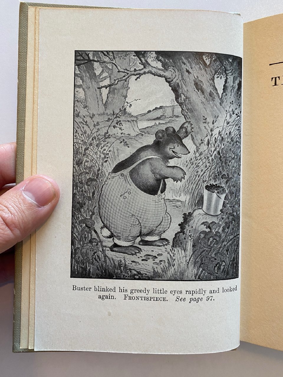 Interior or edition detail of Drew's copy of The Adventures of Buster Bear