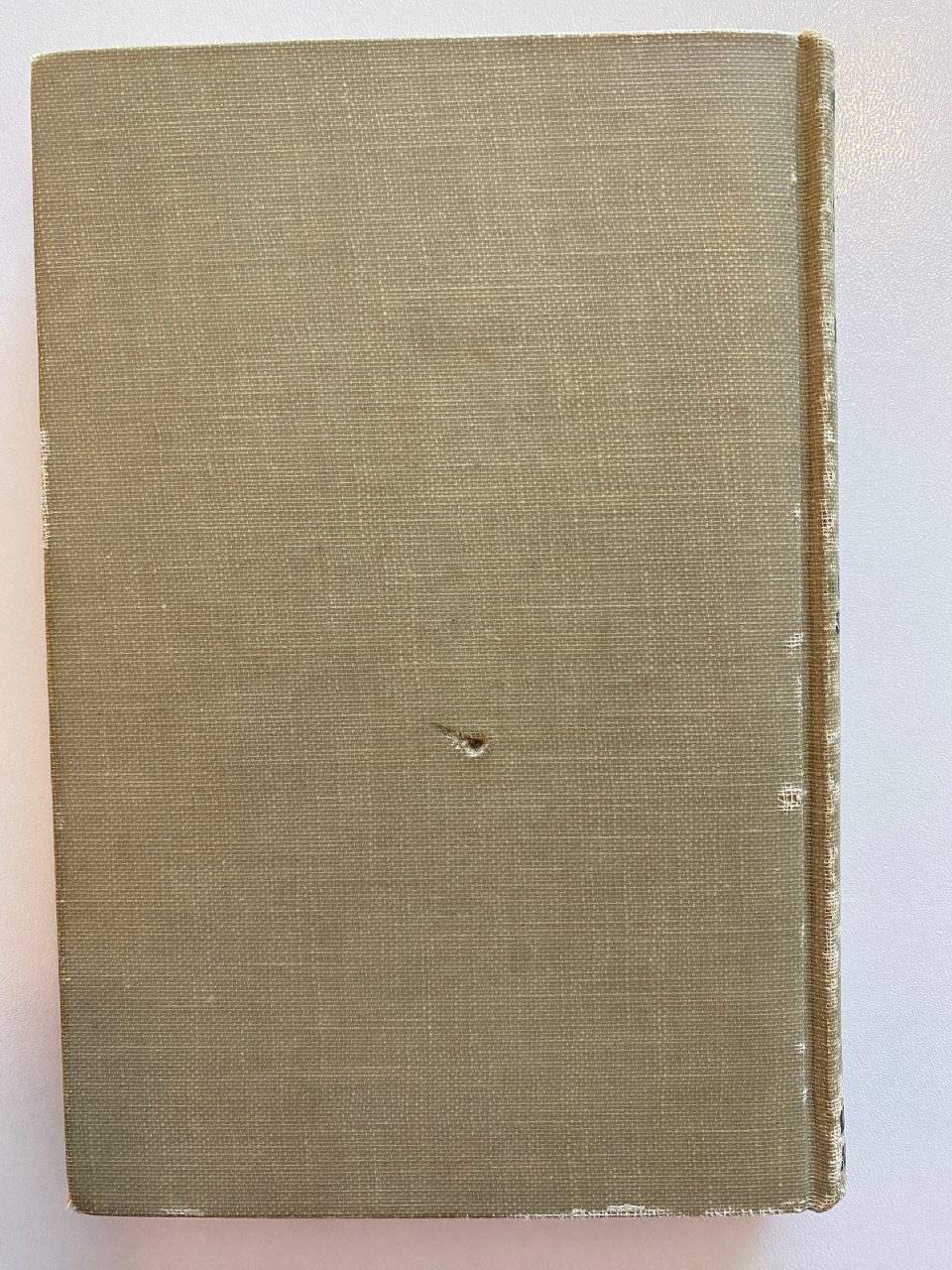 Back cover of Drew's copy of The Adventures of Chatterer the Red Squirrel