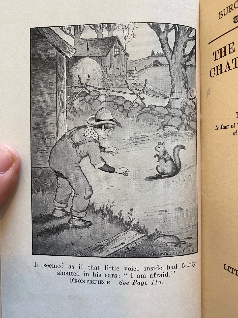 Interior or edition detail of Drew's copy of The Adventures of Chatterer the Red Squirrel