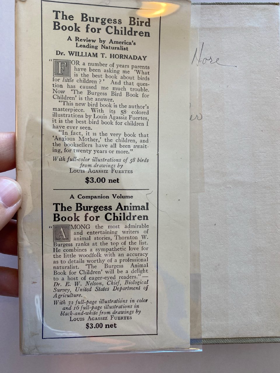 Interior or edition detail of Drew's copy of The Adventures of Jerry Muskrat