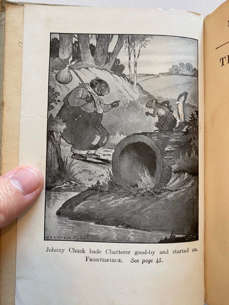 Interior or edition detail of Drew's copy of The Adventures of Johnny Chuck