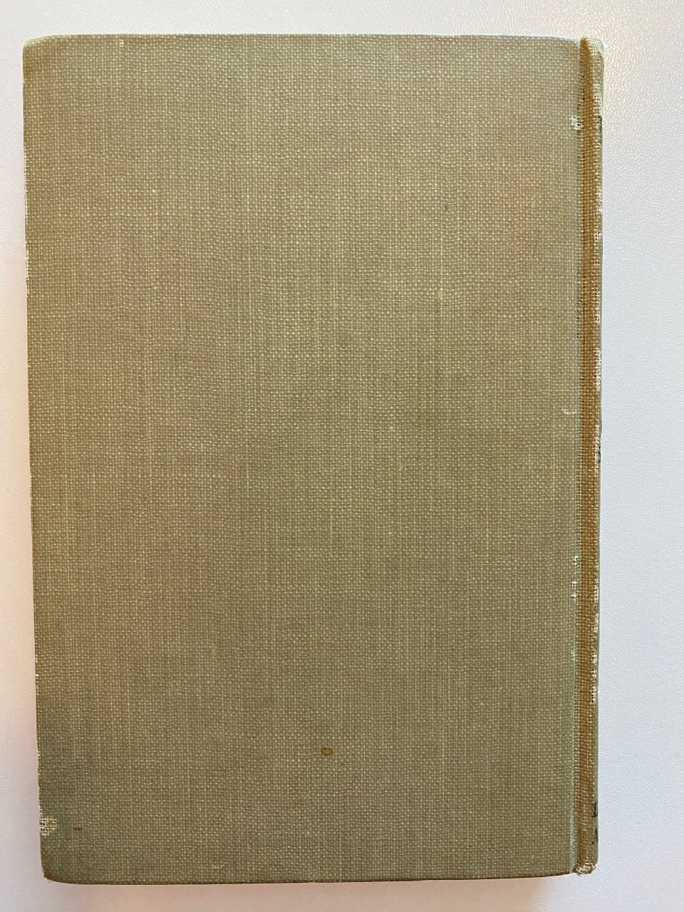 Back cover of Drew's copy of The Adventures of Mr. Mocker