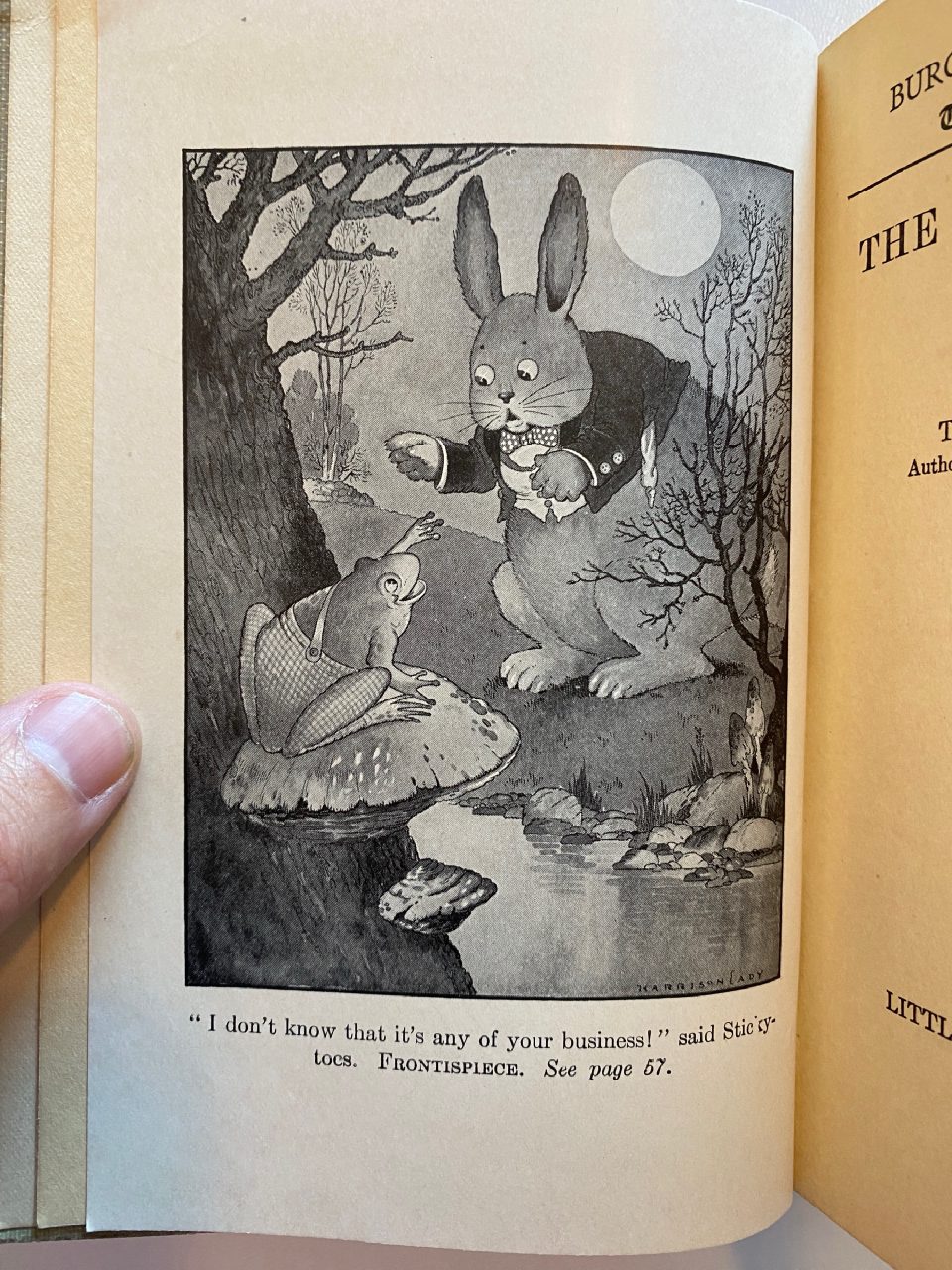 Interior or edition detail of Drew's copy of The Adventures of Mr. Mocker