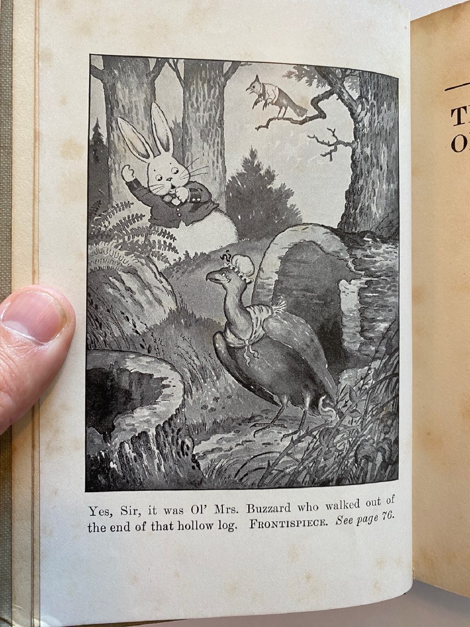 Interior or edition detail of Drew's copy of The Adventures of Ol’ Mistah Buzzard