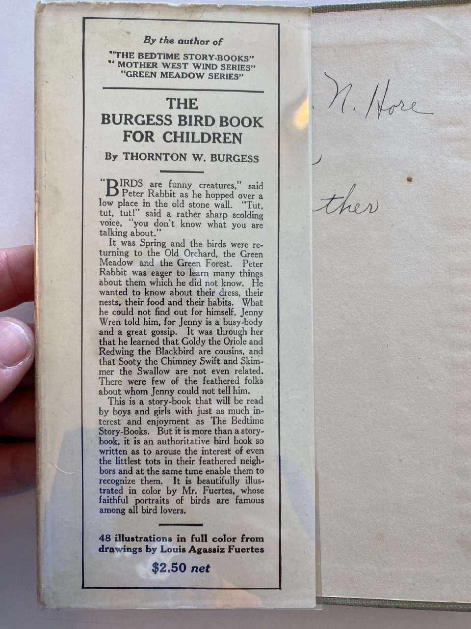 Interior or edition detail of Drew's copy of The Adventures of Old Mr. Toad