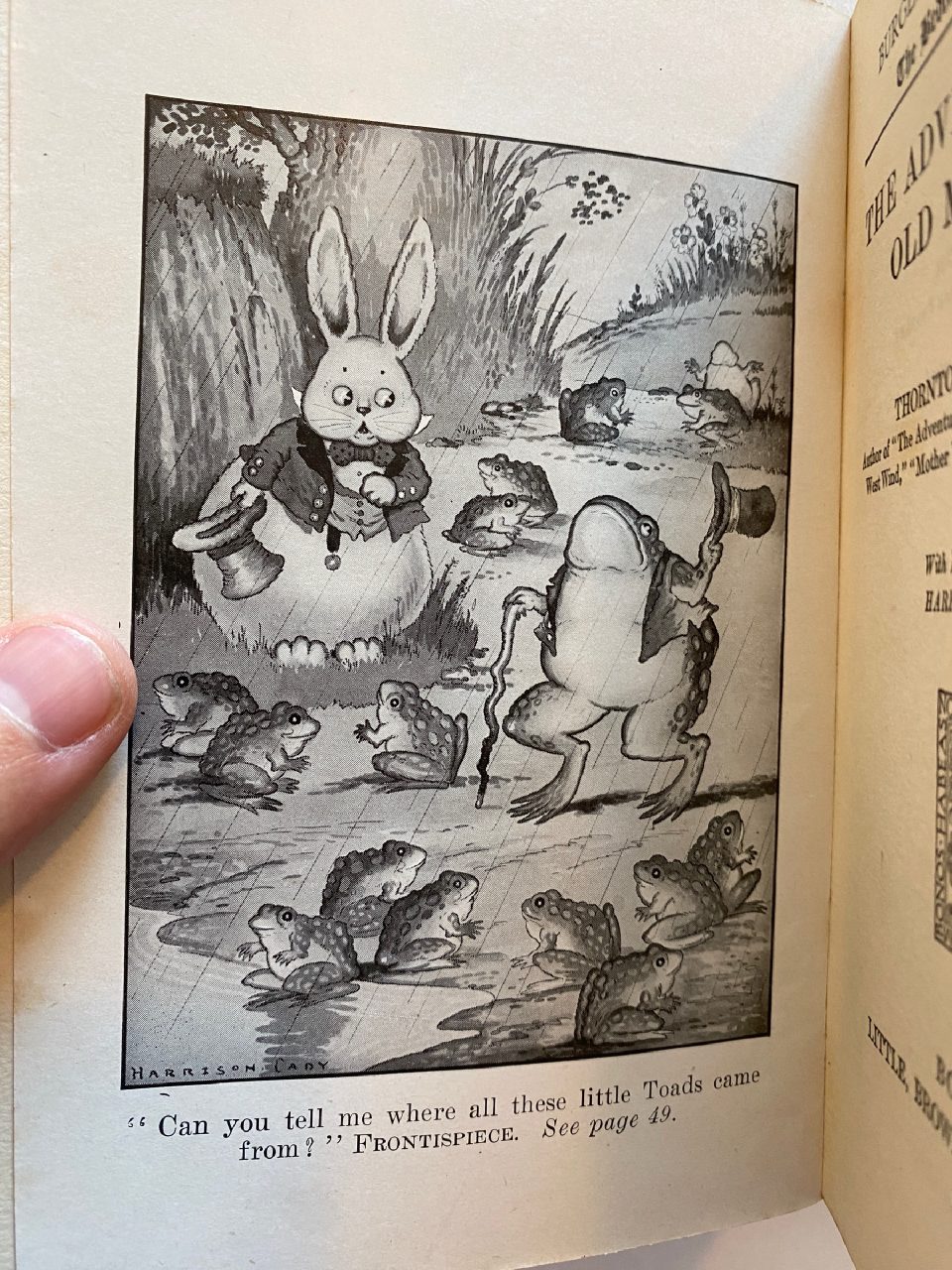 Interior or edition detail of Drew's copy of The Adventures of Old Mr. Toad