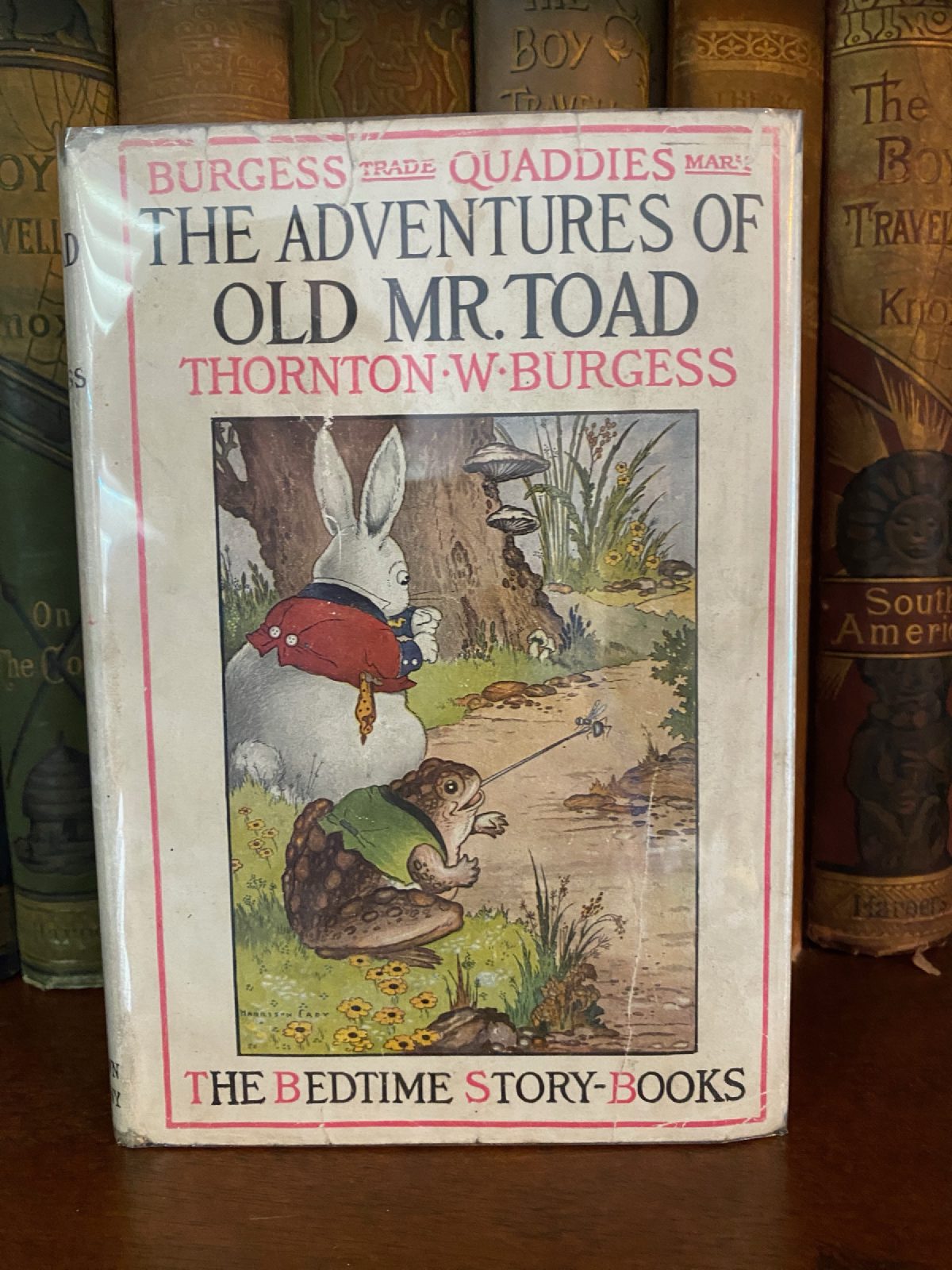 Cover of Drew's copy of The Adventures of Old Mr. Toad