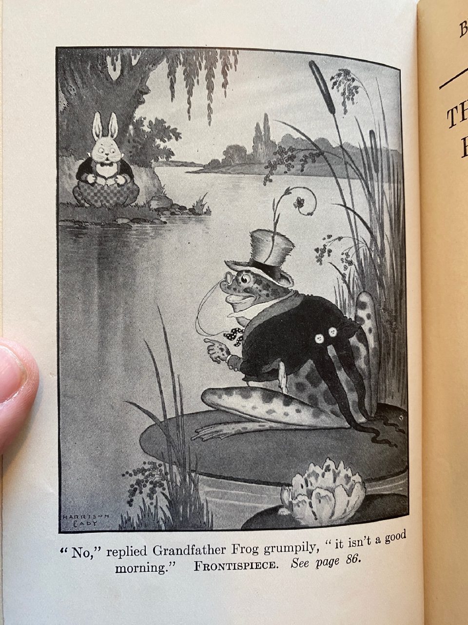 Interior or edition detail of Drew's copy of The Adventures of Peter Cottontail
