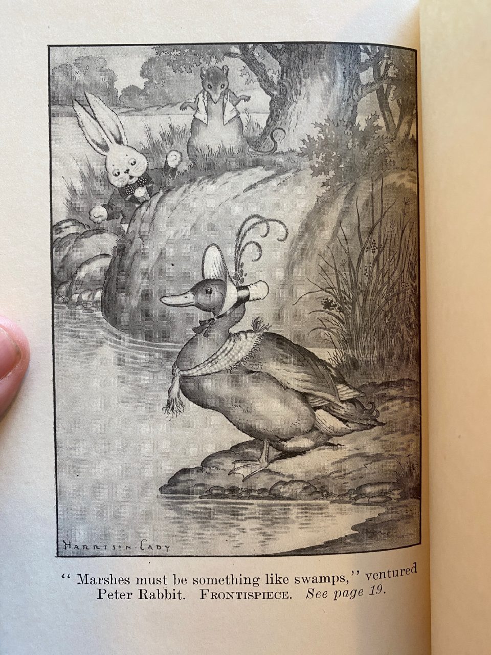 Interior or edition detail of Drew's copy of The Adventures of Poor Mrs. Quack