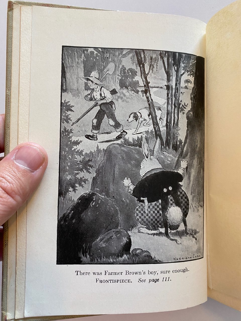 Interior or edition detail of Drew's copy of The Adventures of Reddy Fox