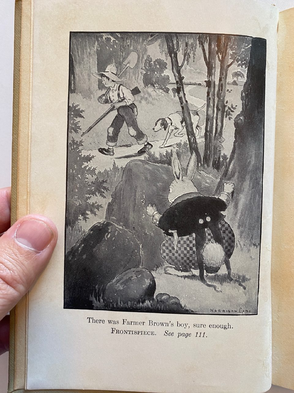 Interior or edition detail of Drew's copy of The Adventures of Reddy Fox