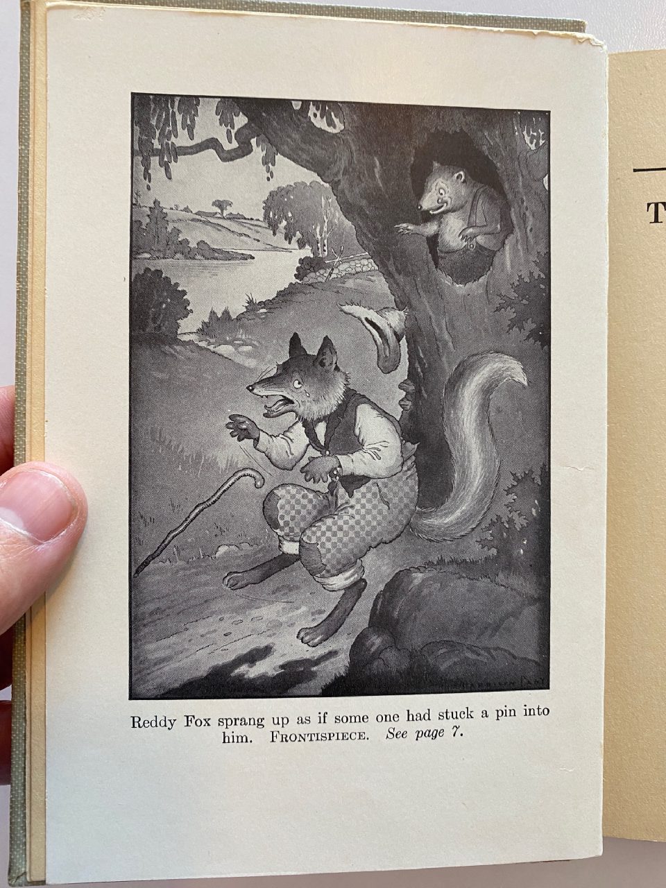Interior or edition detail of Drew's copy of The Adventures of Unc’ Billy Possum