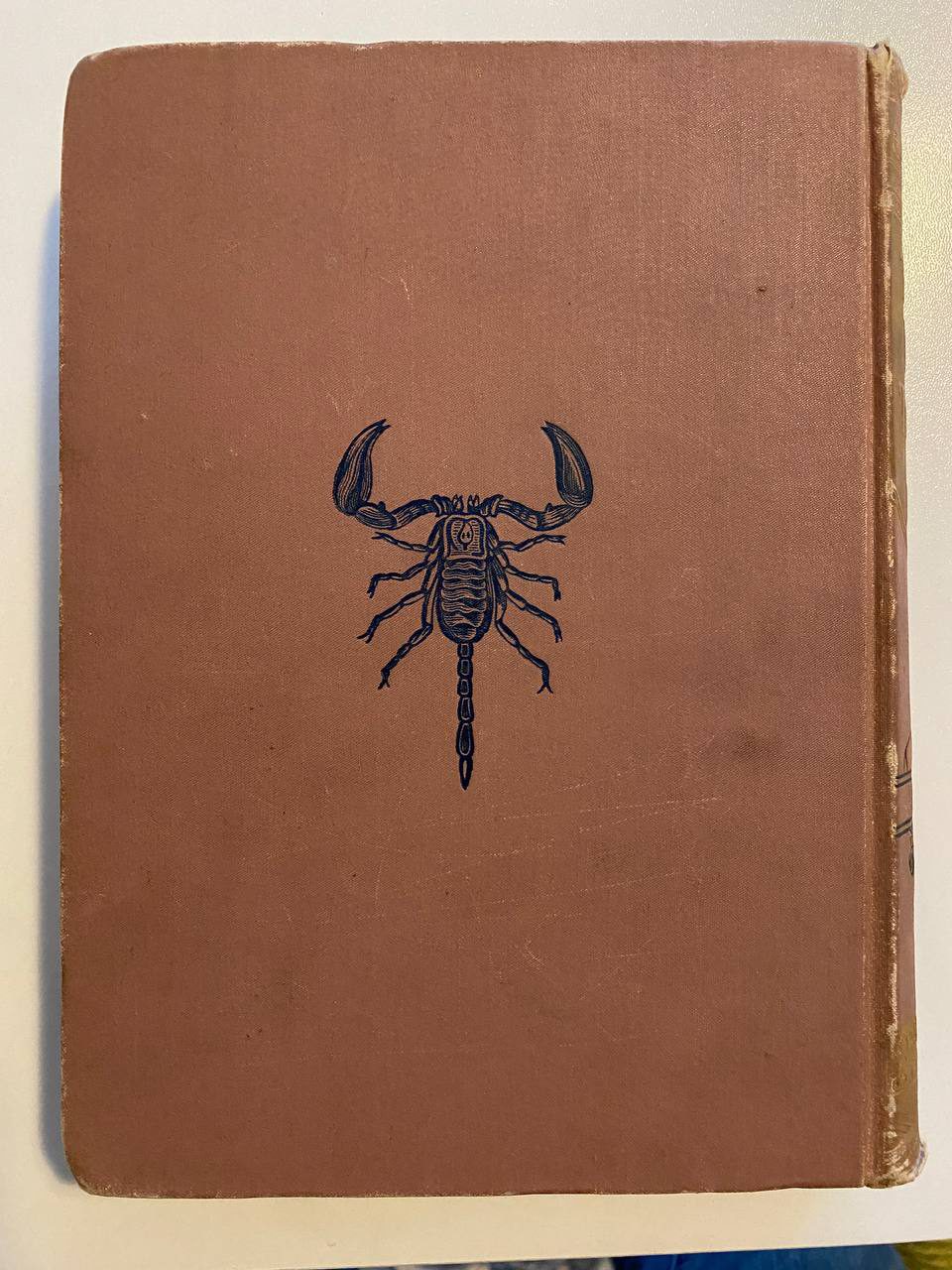 Back cover of Drew's copy of The Boy Travellers in Mexico