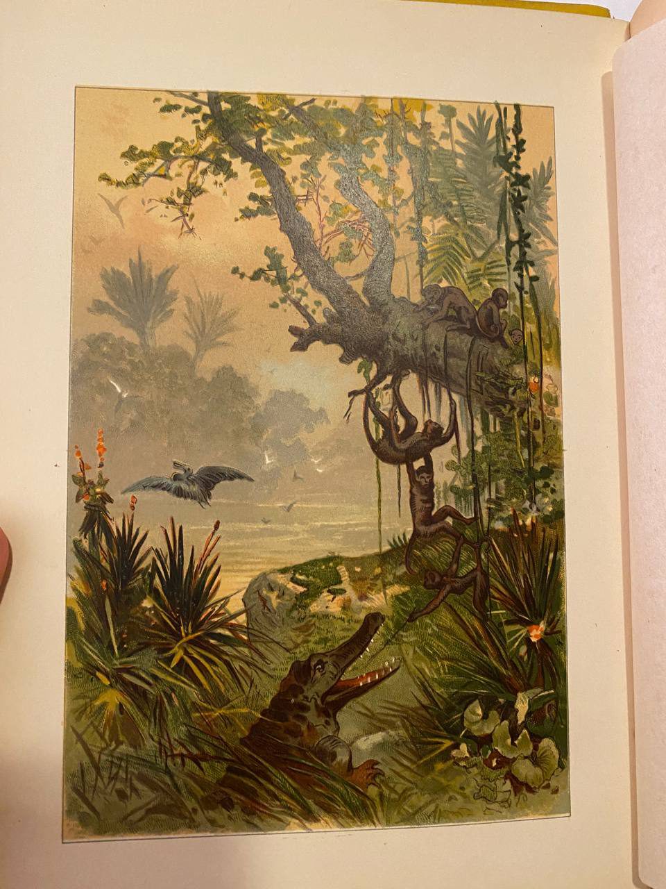 Illustration of Drew's copy of The Boy Travellers in the Far East, Part Second: Siam and Java
