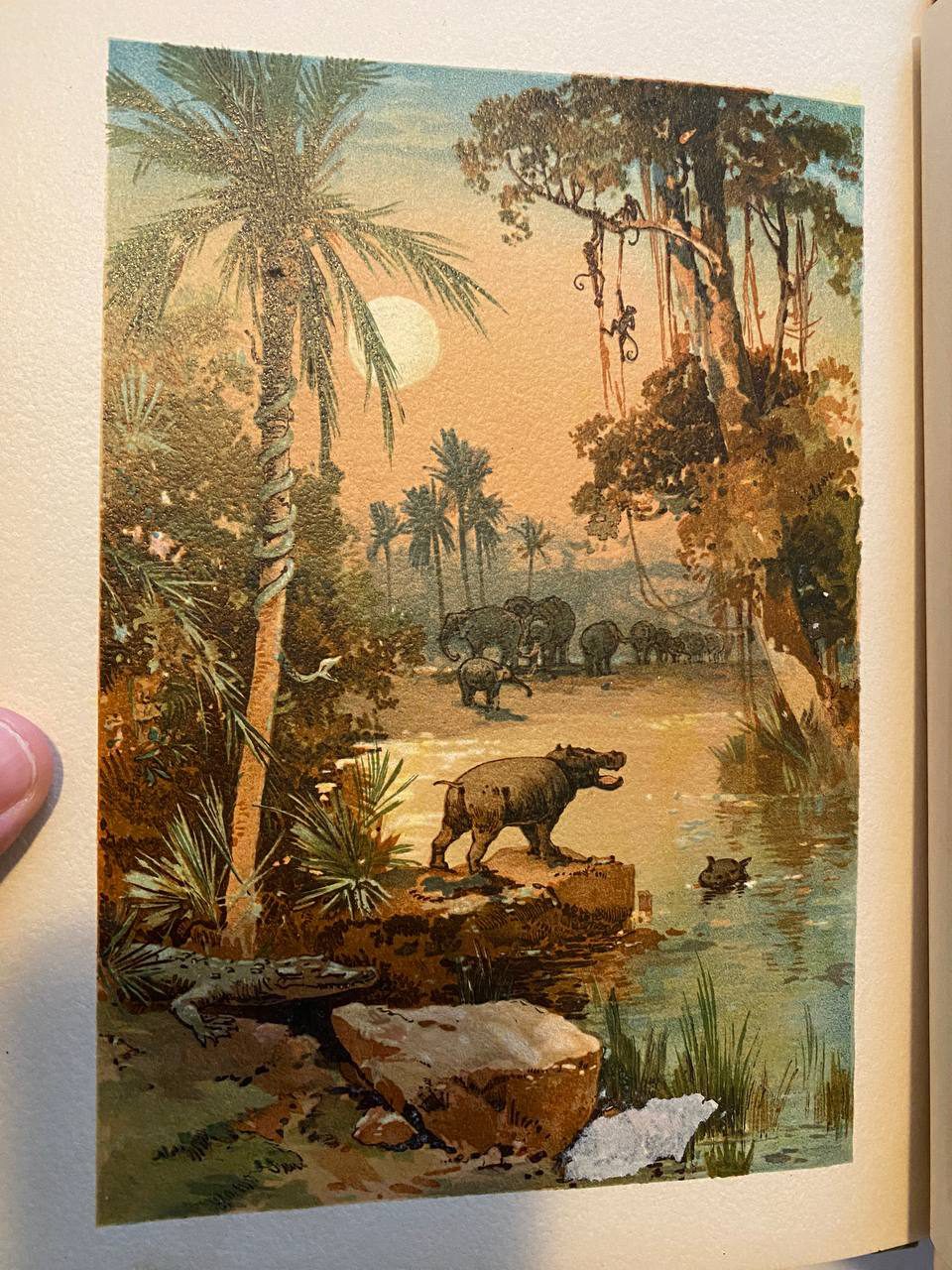 Illustration of Drew's copy of The Boy Travellers on the Congo