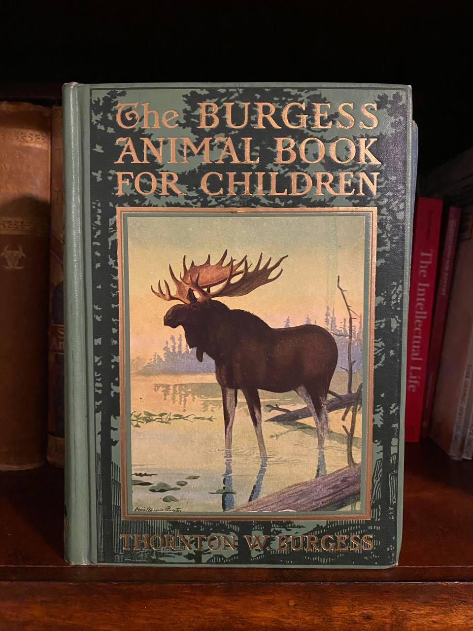 The physical copy of The Burgess Animal Book for Children in Drew's home library