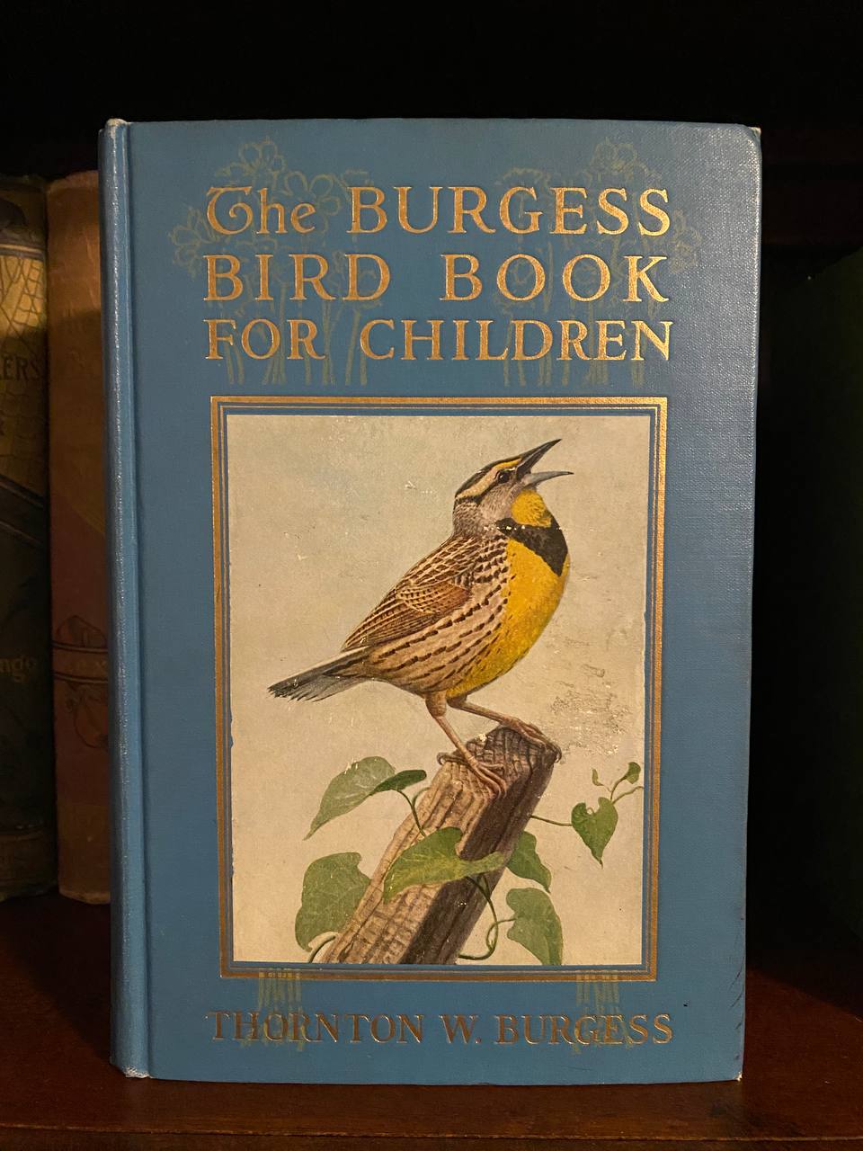 The physical copy of The Burgess Bird Book for Children in Drew's home library