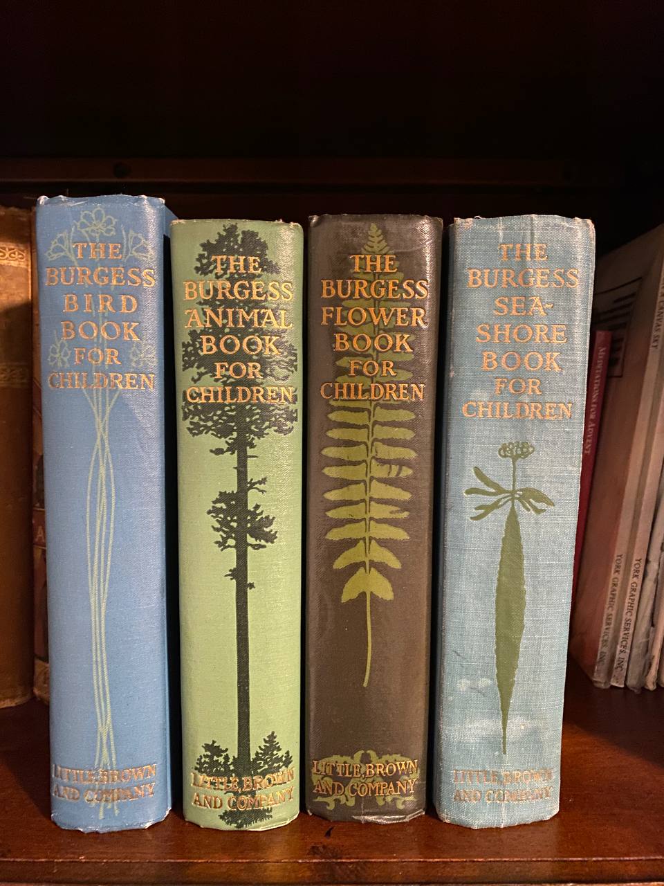Shelf and spine of Drew's copy of The Burgess Bird Book for Children
