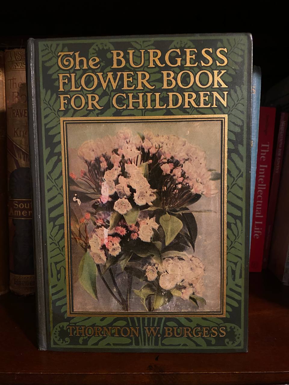 The physical copy of The Burgess Flower Book for Children in Drew's home library