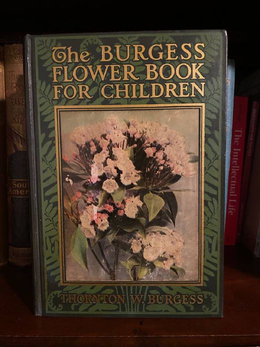 Cover of Drew's copy of The Burgess Flower Book for Children