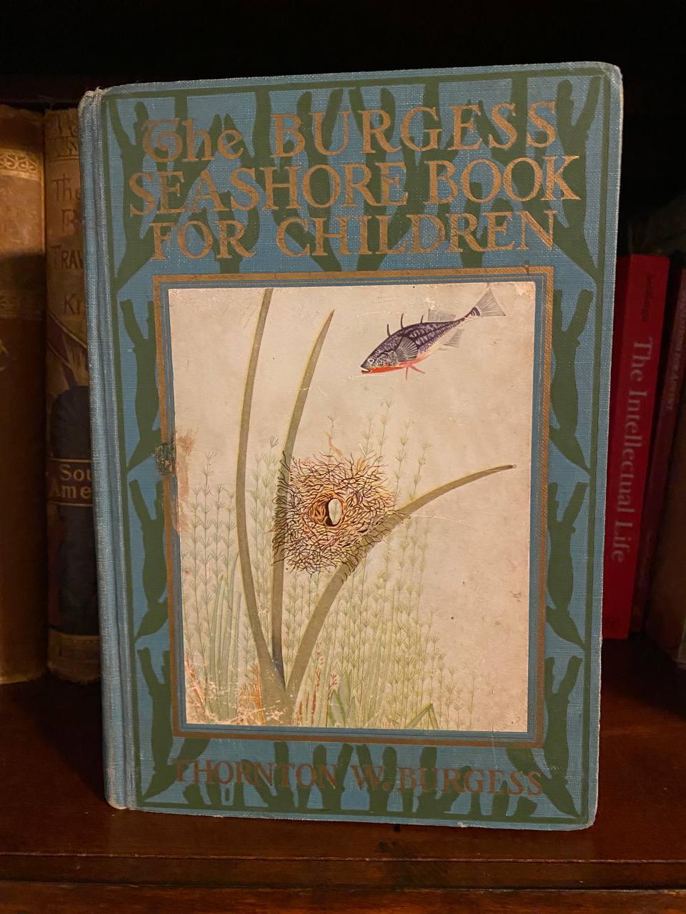 The physical copy of The Burgess Seashore Book for Children in Drew's home library