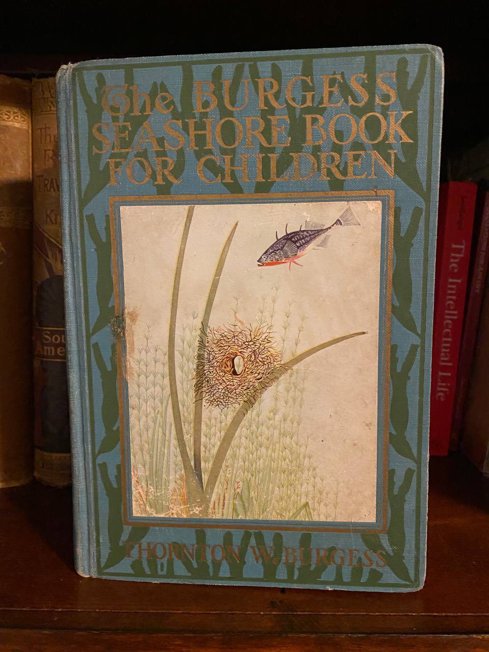 Cover of Drew's copy of The Burgess Seashore Book for Children