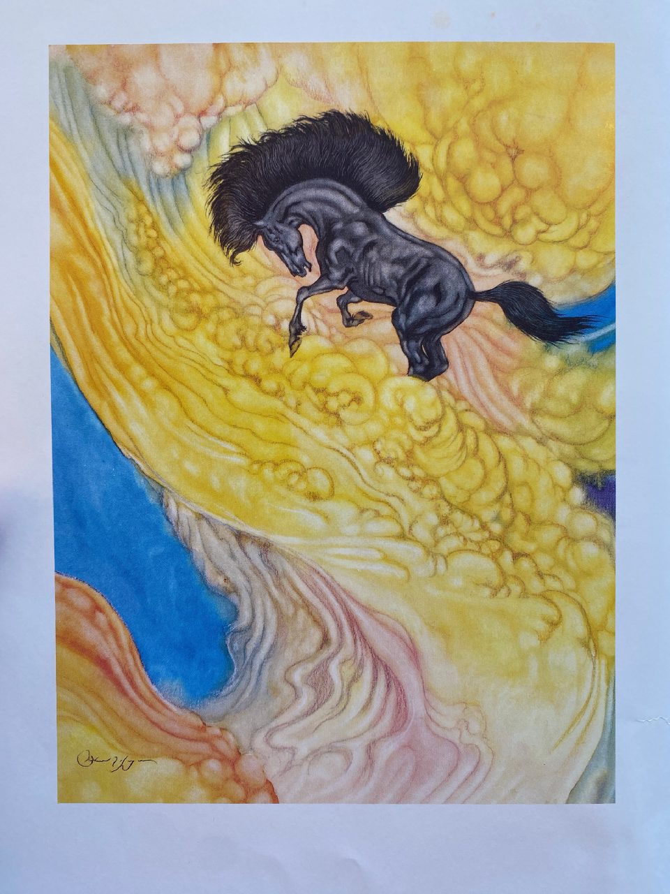 Interior or edition detail of Drew's copy of The Rainbow Fairy Book