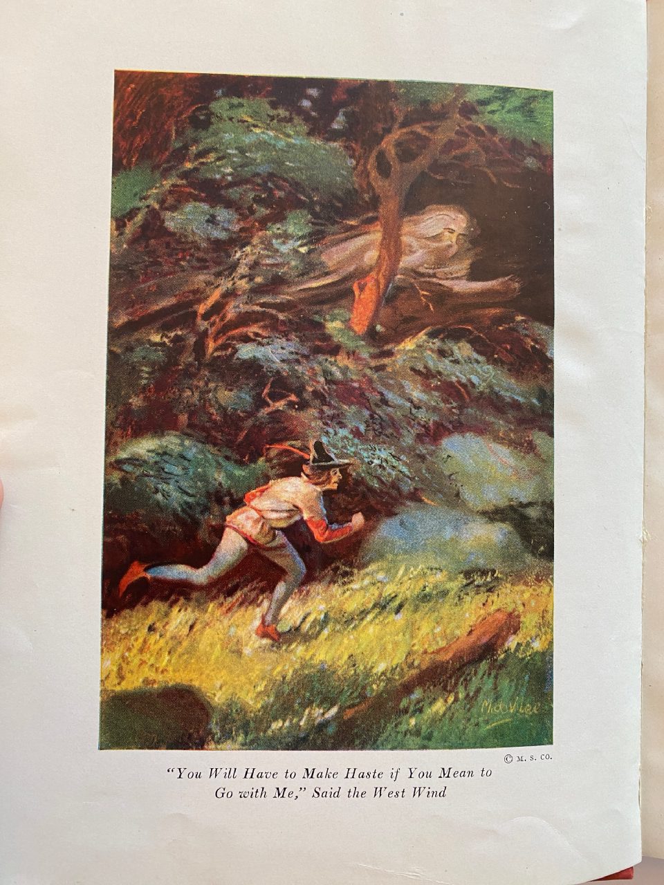 Interior or edition detail of Drew's copy of The Red Fairy Book