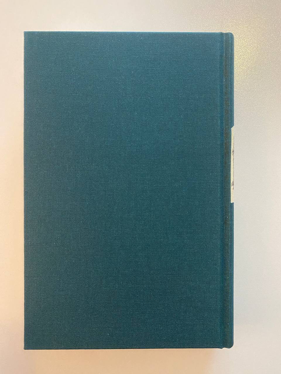 Back cover of Drew's copy of The Wouldbegoods