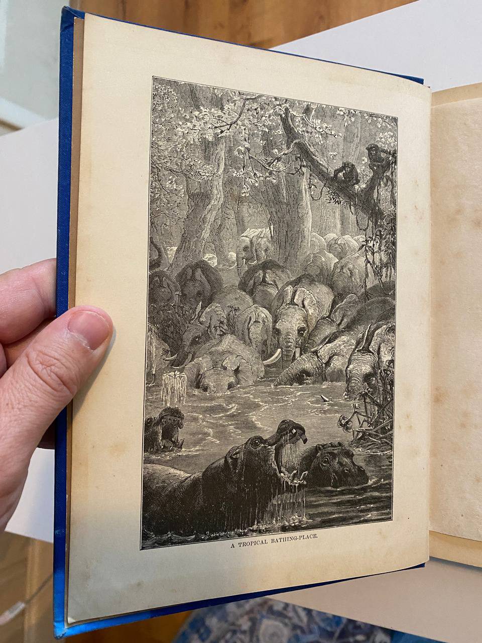 Illustration of Drew's copy of The Young Nimrods Around the World